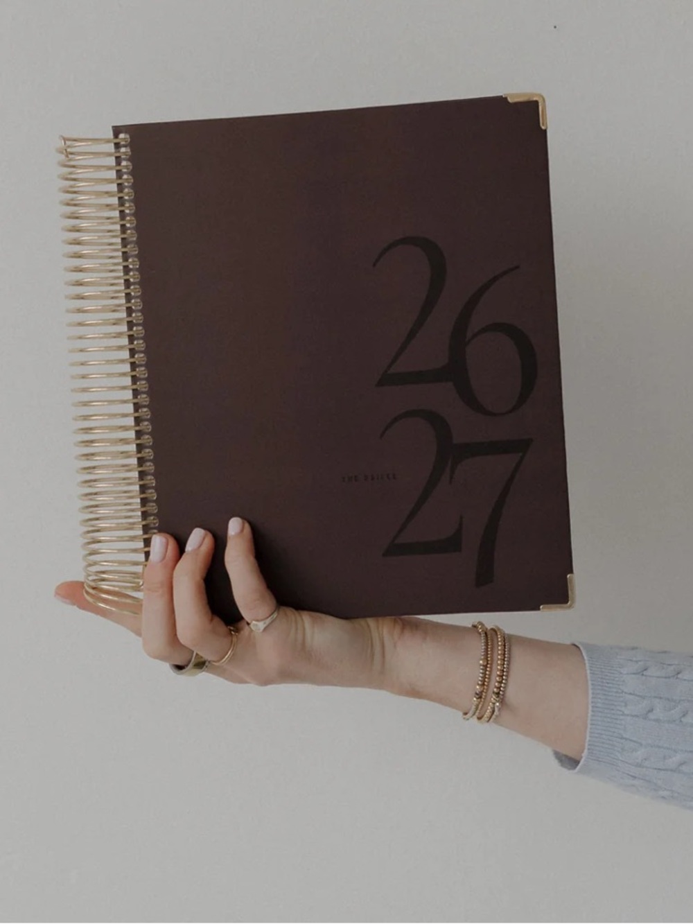 The Dailee 2026-2027 Daily Planner (mocha) - Picture 4 of 14